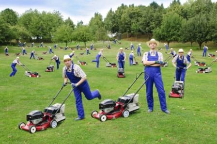 Rasenm&auml;her und Rasentraktor Motoren von Briggs und Stratton,Tecumseh, Honda und Kohler